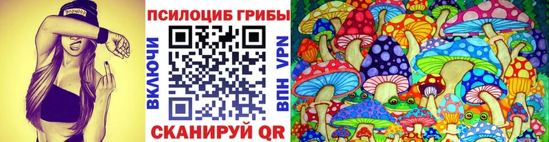 сайты даркнета наркотические препараты  Плавск  Псилоцибиновые грибы ЛСД  kraken как зайти 